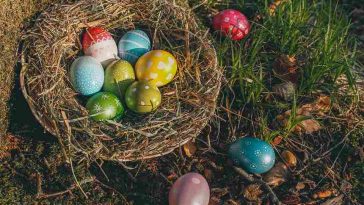 auguri pasqua 2019 foto video