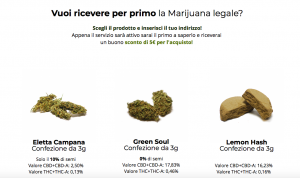 cannabis-legale-milano-just-weed