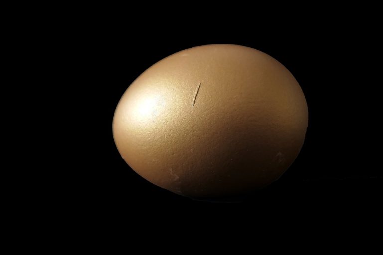 Chi Troppo Vuole Nulla Stringe Versione Greco