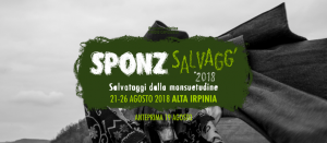 sponz-fest-2018-date