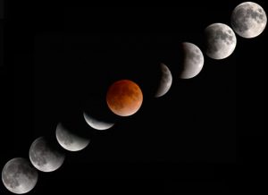 Fasi eclissi di luna immagine google
