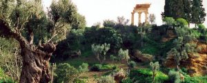 giardino-kolymbethra-agrigento-immagine-google